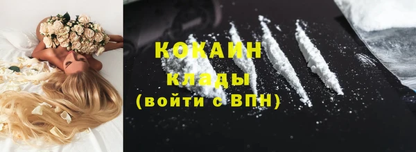 твердый Сясьстрой