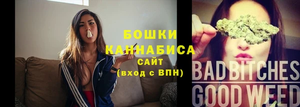 2c-b Тайга