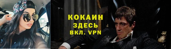 2c-b Тайга