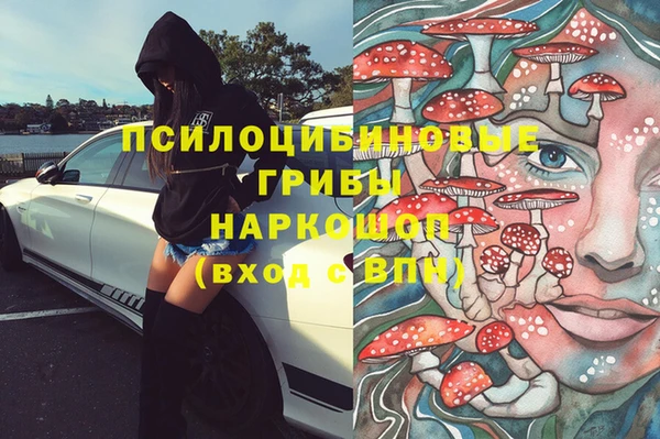 2c-b Тайга
