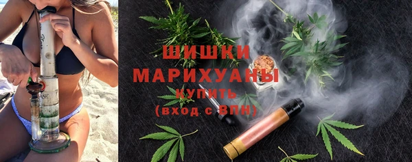 2c-b Тайга