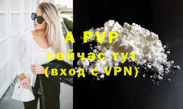 твердый Сясьстрой
