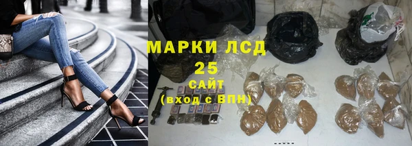 2c-b Тайга